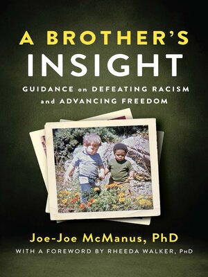 cover image of A Brother's Insight
